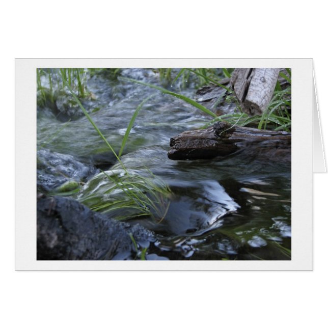 Nebenfluss zwischen Kibbie u. Flora Seen (Vorderseite (Horizontal))