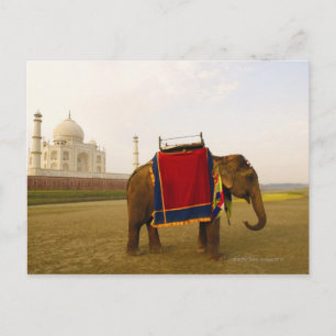 Nebenprofil eines Elefanten, Taj Mahal, Indien Postkarte