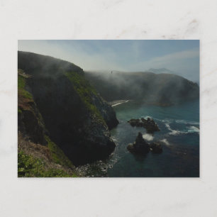 Neblige Anacapa-Insel im Channel Islands National  Postkarte