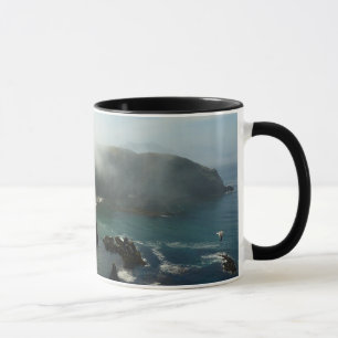 Neblige Anacapa-Insel im Channel Islands National Tasse