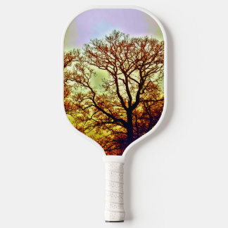 NEBLIGE SONNENBÄUME PICKLEBALL SCHLÄGER