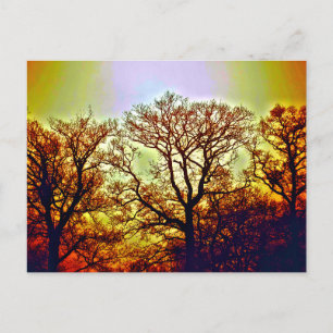NEBLIGE SONNENBÄUME POSTKARTE