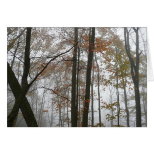 Nebliger Herbst in Pennsylvania Herbst Natur