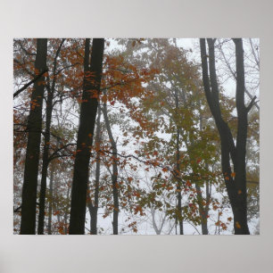 Nebliger Herbst in Pennsylvania Herbst Natur Poster