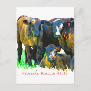 Nebraska-Grasland-Mädchen-Postkarte Postkarte