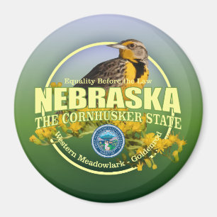 Nebraska Staat Bird & Blume Magnet