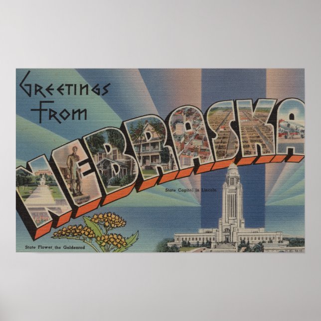 Nebraska (Staat Hauptstadt/Blume) Poster (Vorne)