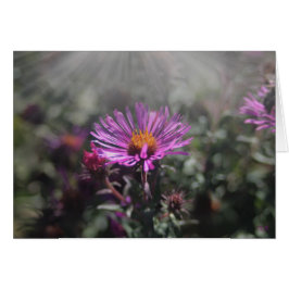 Nebraska-Stadt im Oktober 2015