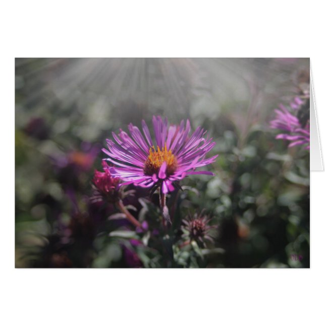 Nebraska-Stadt im Oktober 2015 (Vorderseite (Horizontal))