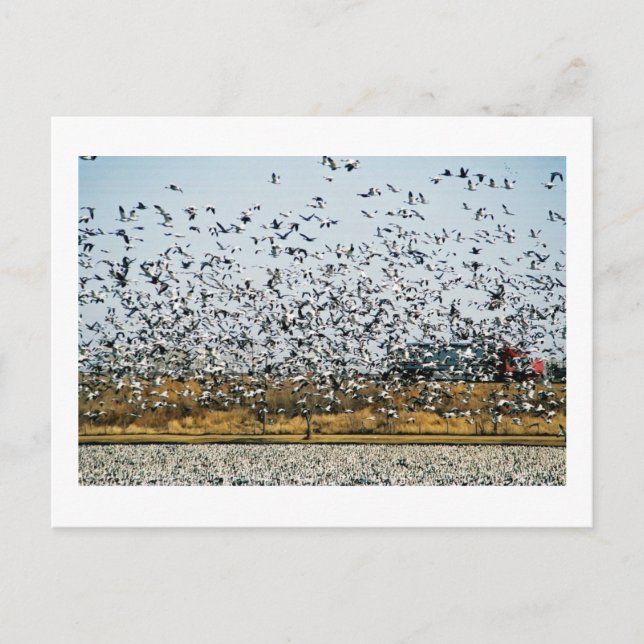 NEBRASKA VIEWS POSTKARTE (Vorderseite)