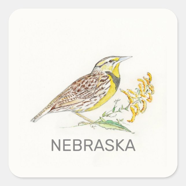 Nebraska-Vogel und Blume Quadratischer Aufkleber (Vorderseite)