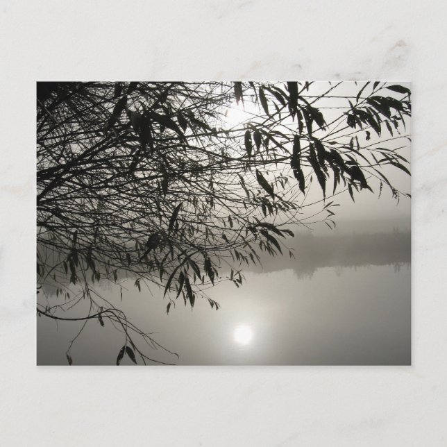 Nebst der Shadow-Postkarte Postkarte (Vorderseite)