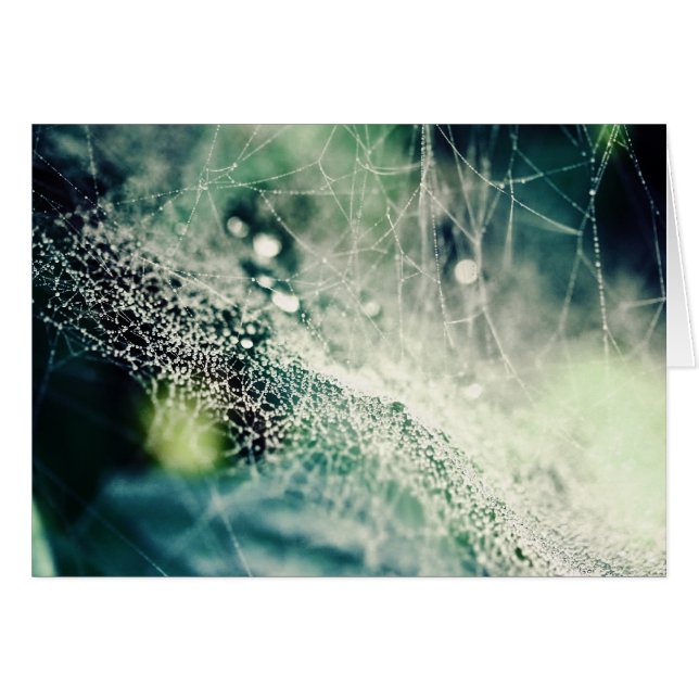 Nebula (Vorderseite (Horizontal))