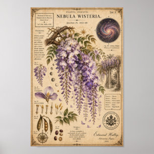 Nebula Wisteria Victorian Botanisches Museum Druck Poster