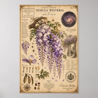 Nebula Wisteria Victorian Botanisches Museum Druck Poster
