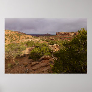Neck Springs Trail im Canyonlands National Park Poster