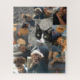 Neco und Muskeln Puzzle