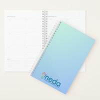 NEDA Logo Plane