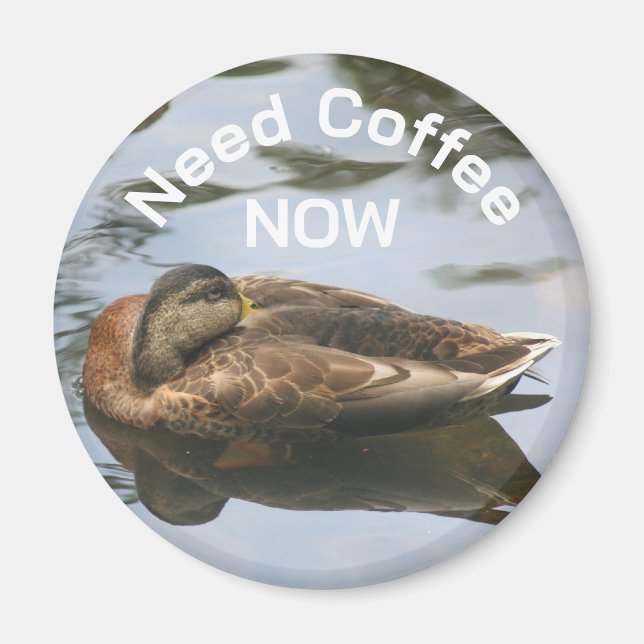 Need Coffee Sleepy Duck Funny  Magnet (Vorne)