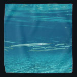 Needlefish Bandana Halstuch<br><div class="desc">Eine Schule von Needlefish in einem kristallklaren Florida Frühling.</div>