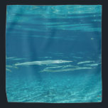 Needlefish Bandana Halstuch<br><div class="desc">Eine Schule von Needlefish in einem kristallklaren Florida Frühling.</div>