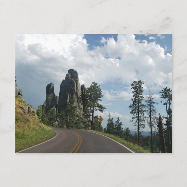 Needles Highway View, South Dakota Postkarte (Vorderseite)