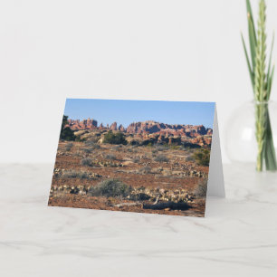 Needles vom Pothole Point Trail Canyonlands Karte