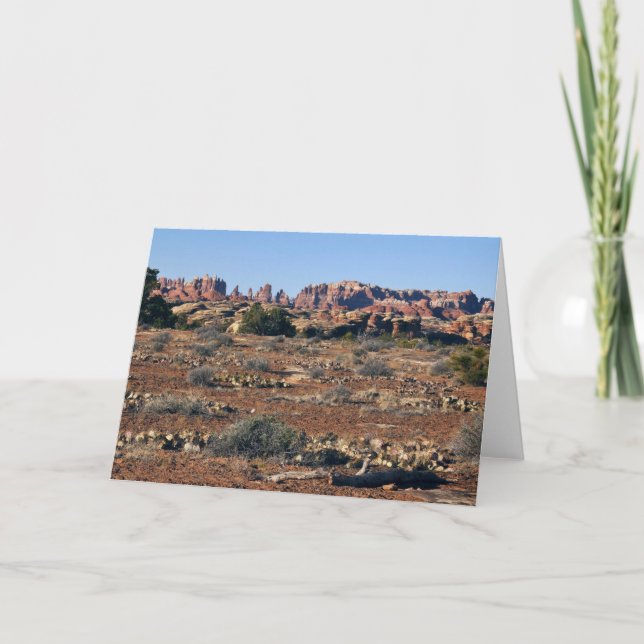 Needles vom Pothole Point Trail Canyonlands Karte (Vorderseite)