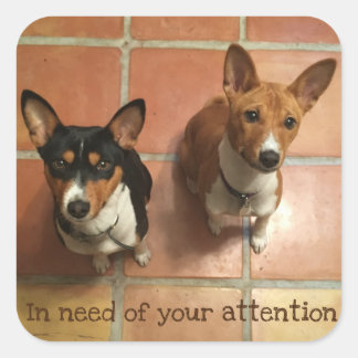 Needy Basenji Quadratischer Aufkleber