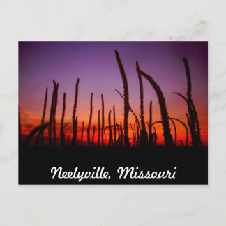 Neelyville Missouri Postkarte