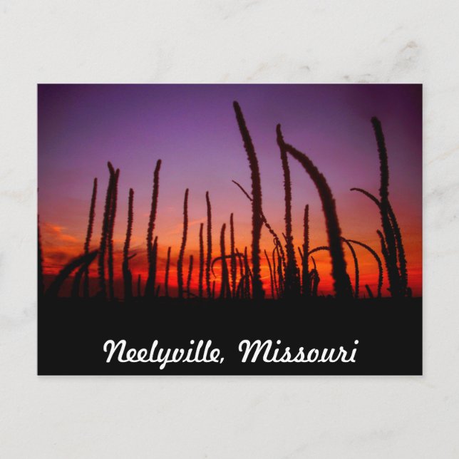 Neelyville Missouri Postkarte (Vorderseite)