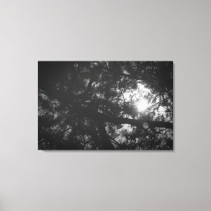 Neem Baum-Reflexion Leinwanddruck