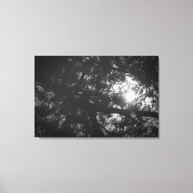 Neem Tree Reflection Leinwanddruck (Vorderseite)