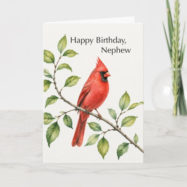 Neffe Geburtstag Roter Kardinal auf Ast Karte (Vorderseite)