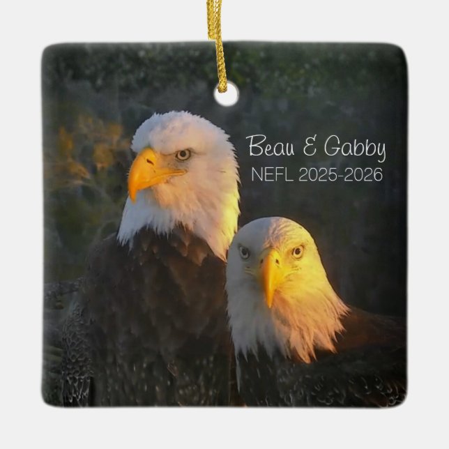 NEFL Beau & Gabby Ornament 2025/2026 (Vorderseite)
