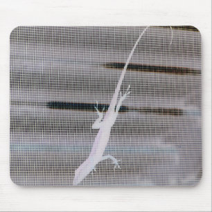 Negativbild einer Eidechse auf einem Fenstergitter Mousepad