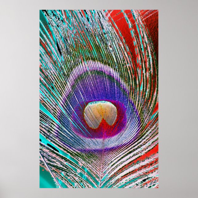 Negative Pfauenfeder Poster (Vorne)