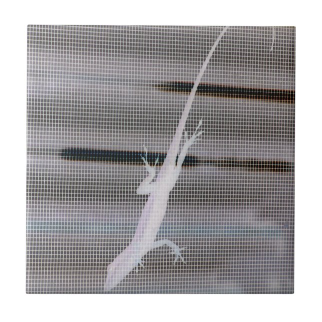 Negatives Bild einer Eidechse auf einem Fenster Fliese (Vorderseite)