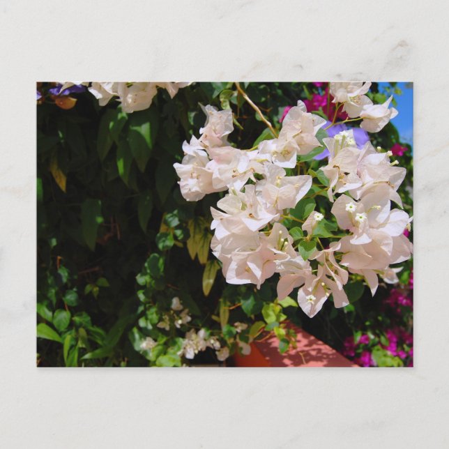 Negril, Jamaika Postkarte