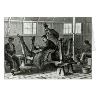 Nehmen des Virus vom Kalb