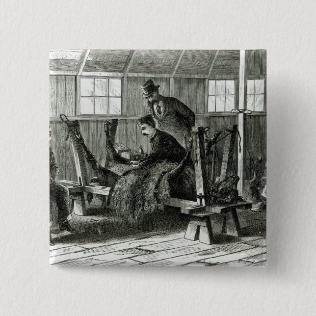 Nehmen des Virus vom Kalb Button (Vorderseite)