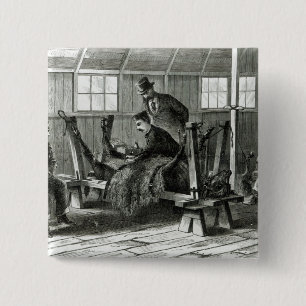 Nehmen des Virus vom Kalb Button