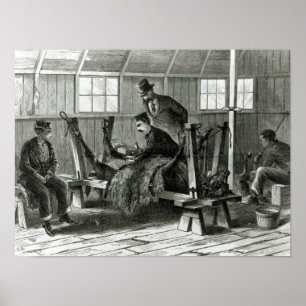 Nehmen des Virus vom Kalb Poster