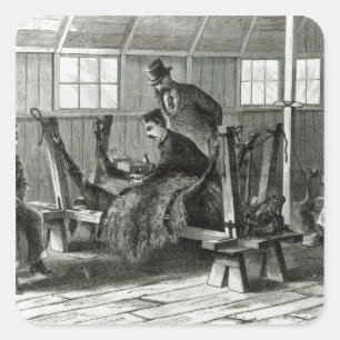 Nehmen des Virus vom Kalb Quadratischer Aufkleber