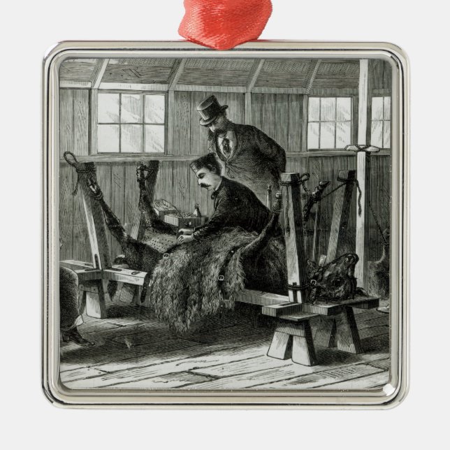 Nehmen des Virus vom Kalb Silbernes Ornament (Vorne)