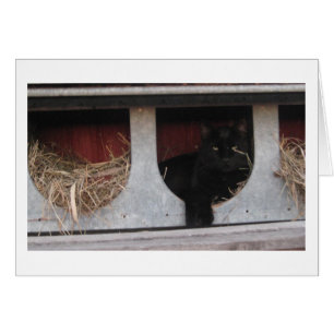 Nehmen eines Bruches