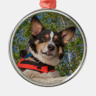 Nehmen eines Bruches Silbernes Ornament