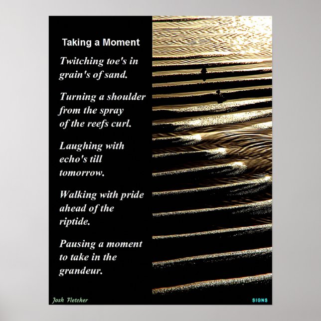 Nehmen eines Momentes Poster (Vorne)