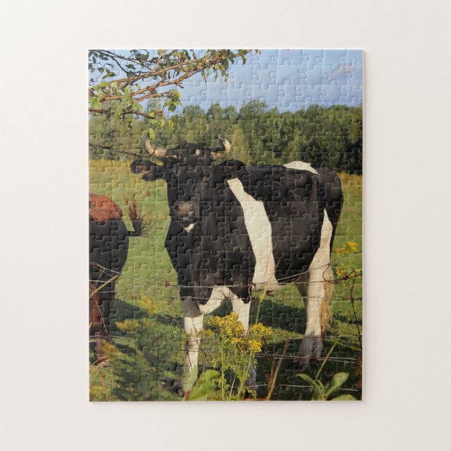 Nehmen Sie den Stier durch die Hörner Puzzle (Vertikal)