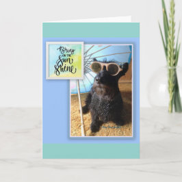 Nehmen Sie die Sonnenscheinkarte an. Karte